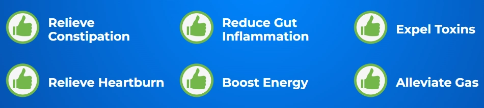 Gut Vita Benefits
