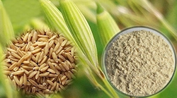 Oat Bran Powder